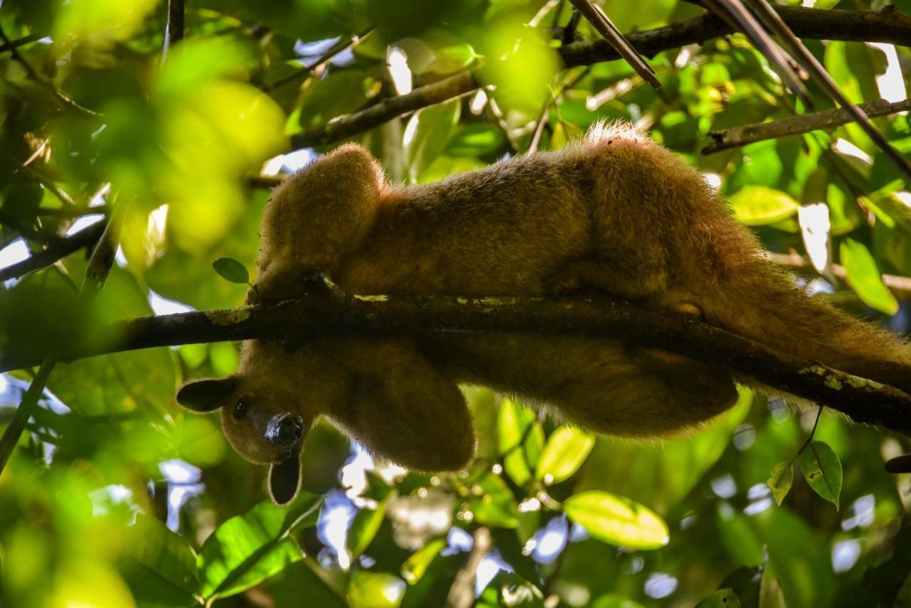 Amazon Muyuna Lodge Параисо Экстерьер фото