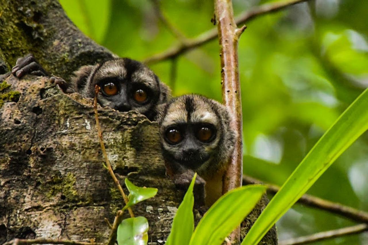 Amazon Muyuna Lodge Параисо Экстерьер фото