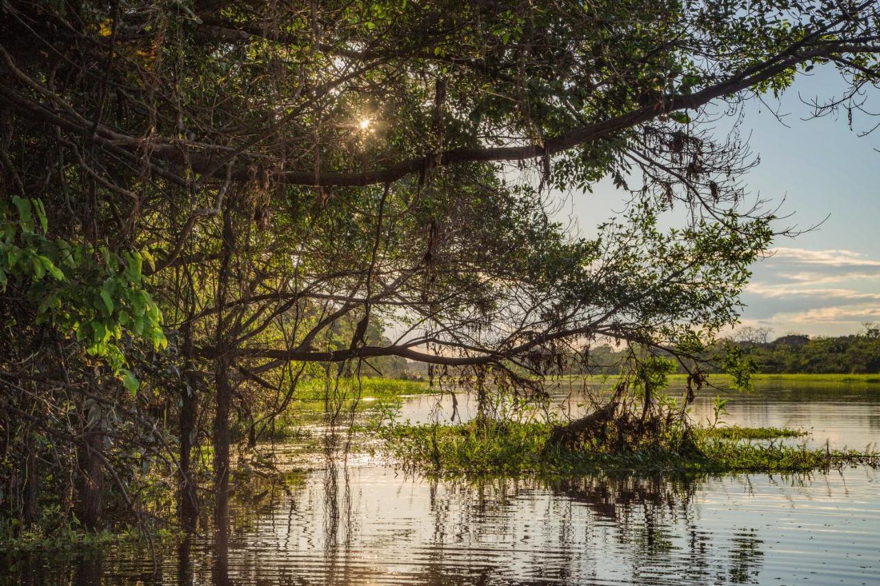 Amazon Muyuna Lodge Параисо Экстерьер фото