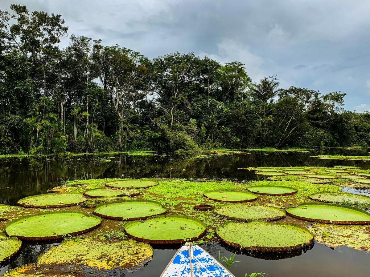 Amazon Muyuna Lodge Параисо Экстерьер фото